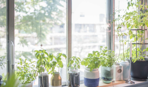 How to Choose the Right Pots and Containers for Different Types of Plants