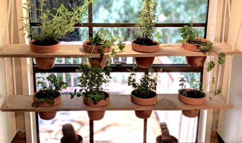 Turning a Sunny Window Ledge Into a Mini Indoor Herb Garden